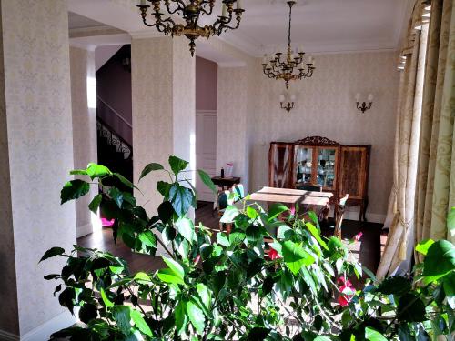 Fotografie z fotogalerie ubytování Dwór Sieraków v destinaci Sieraków