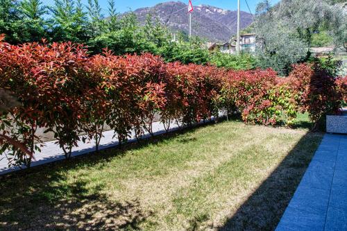 a row of bushes with red flowers in a yard at Silvia Lenno House - The House Of Travelers in Lenno