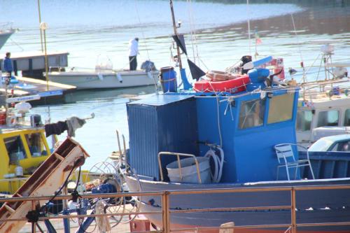 a group of boats are docked in the water at Miramare Isola Rossa in Isola Rossa