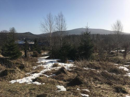 Billede fra billedgalleriet på Linda i Goslar