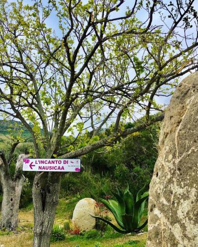 a sign in front of a tree and some rocks at L'incanto di Nausicaa in Ascea