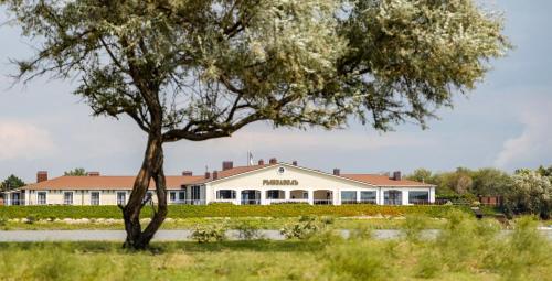 a large white building with a tree in the foreground at Fish Factory Hotel in Samosdel'noye