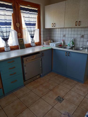 ヴィッラーニにあるBurai Vendégházのキッチン(青いキャビネット、シンク付)