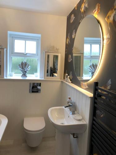 a bathroom with a sink and a toilet and a mirror at Cotswold Chic Retreats "Jacinabox" Central Chipping Campden-Parking-Garden in Chipping Campden