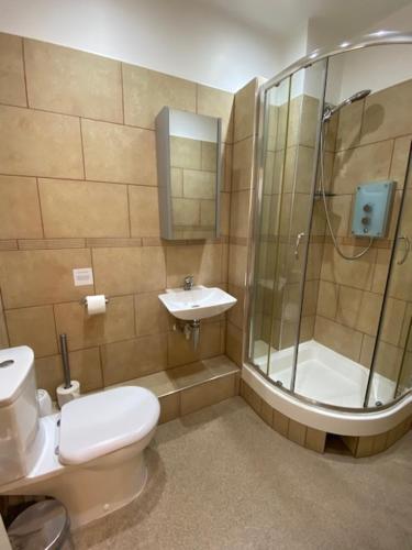 a bathroom with a toilet and a shower and a sink at Apt 1, Opera House 2nd Floor by Indigo Flats in London