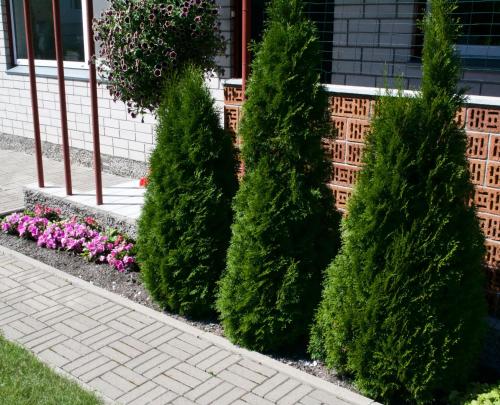 Un jardín fuera de Nooruse Majutus