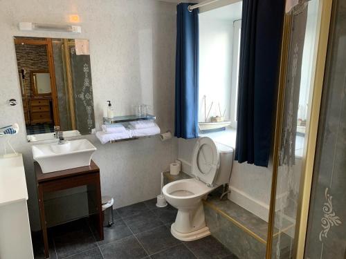 a bathroom with a toilet and a sink and a shower at Hal O' The Wynd Guest House in Stornoway