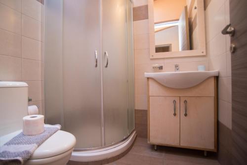 a bathroom with a shower and a toilet and a sink at Studios Artemis in Lefkada Town
