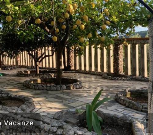 Ảnh trong thư viện ảnh của Villa Maria ở Peschici