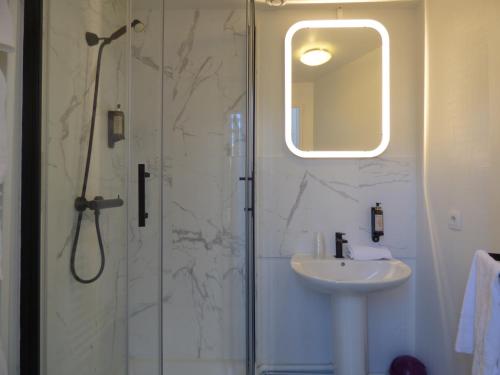 a bathroom with a shower and a sink at Appartement Lanjuinais in Rennes