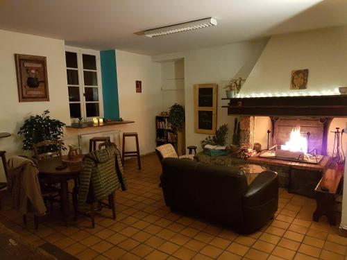 ein Wohnzimmer mit einem Sofa und einem Kamin in der Unterkunft Gite Chaneü in Osse-en-Aspe