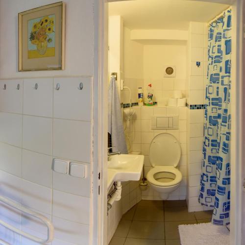 a bathroom with a toilet and a sink at Penzion U Lesa in České Budějovice