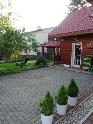 a brick patio with potted plants in front of a house at Chalupa Barborka in Stará Bystrica