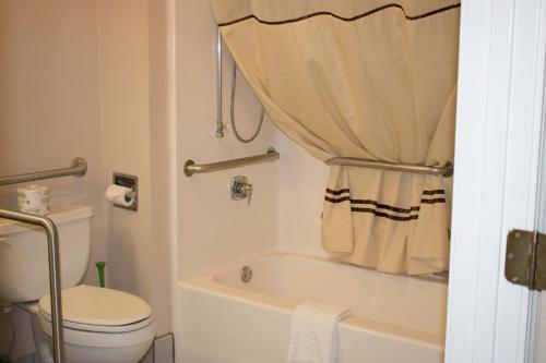 a bathroom with a toilet and a bath tub with a shower curtain at Americas Best Value Inn - Rome in Lindale