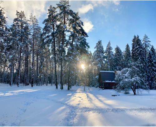 Rojaus Slenis að vetri til