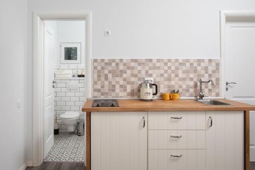 a kitchen with a counter with a sink and a toilet at ALBERT RESIDENCE Aparthotel in Braşov