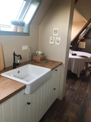een badkamer met een grote witte wastafel op een aanrecht bij Landgoed het Heuvelbosch in Waardenburg