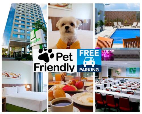 a collage of pictures of a hotel with a dog at Holiday Inn Manaus, an IHG Hotel in Manaus