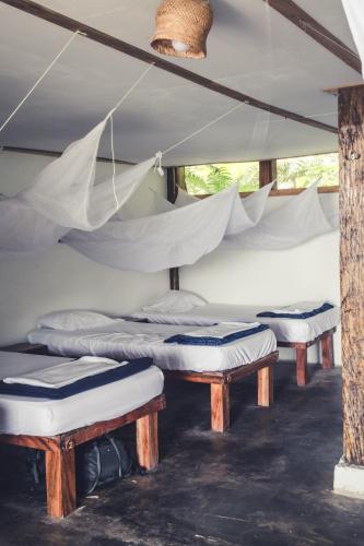 a group of beds in a room with nets at Masaya Casas Viejas in Minca