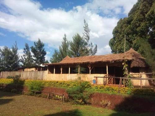 una casa con un tetto di paglia e una recinzione di Sipi Coffee Lodge a Kapchorwa