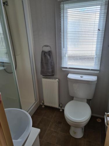a bathroom with a toilet and a sink at Palm grove in Chapel Saint Leonards