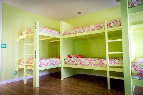 The Big Island Hostel – Ritratti 5