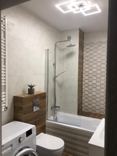 a bathroom with a shower and a toilet and a sink at Gdansk Apartament Harmonia Oliwska in Gdańsk