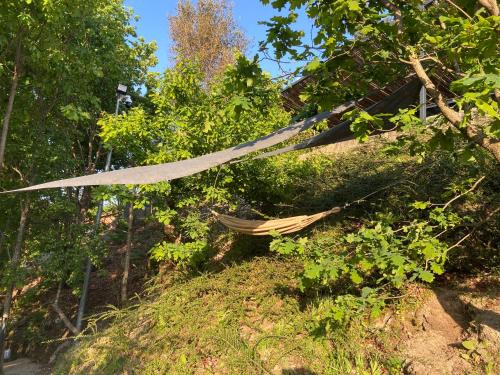 uma rede no lado de uma colina com árvores em Alynes 2 em Ventosa