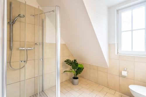 a bathroom with a shower and a potted plant at Strandleben 10 - Louis Douzette in Ahrenshoop