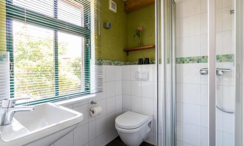 a bathroom with a toilet and a sink and a window at Alte Tischlerei 01 in Wustrow