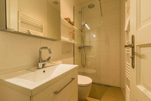 a bathroom with a sink and a toilet and a shower at Drei Akazien Wohnung 2 in Neuhaus