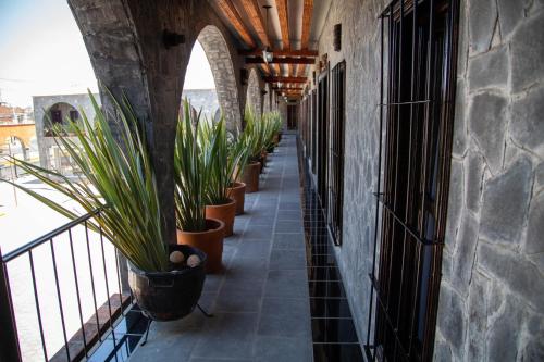 a hallway with potted plants on the side of a building at Hotel Vitorina Cholula in Cholula