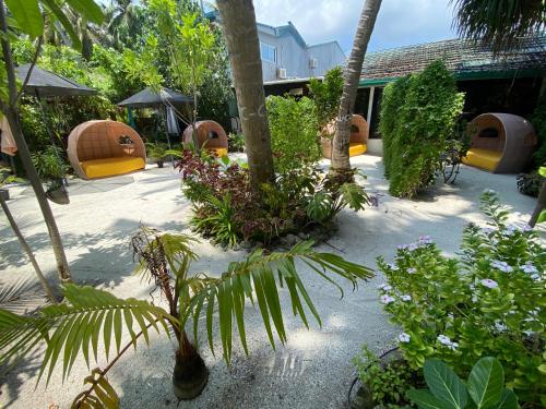 a garden with a bunch of plants and trees at Beach Veli in Ukulhas