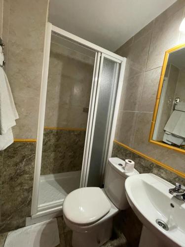 uma casa de banho com um chuveiro, um WC e um lavatório. em H Arkanta em Arganda del Rey