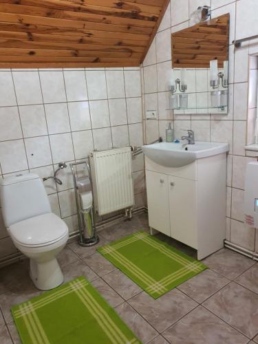 een badkamer met een toilet, een wastafel en groene matten bij Agroturystyka Pod Pstrągiem in Lipnica