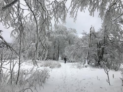 a person walking down a snow covered path at Chalupa Krompach in Krompach