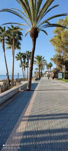 Nueva Marbella photo 18