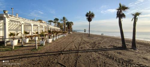 Nueva Marbella photo 19