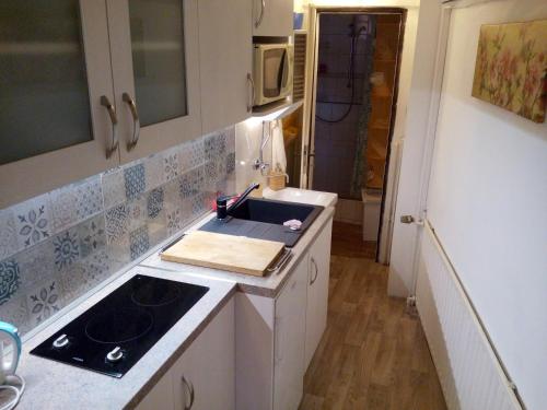 a kitchen with a sink and a counter top at Apartments České Středohoří in Teplice
