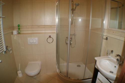 シュクラルスカ・ポレンバにあるApartament Jozefinaのバスルーム(シャワー、トイレ、シンク付)