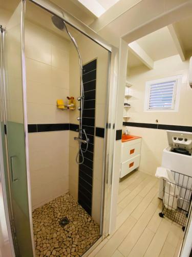 a shower with a glass door in a bathroom at Maelya House in Sainte-Anne