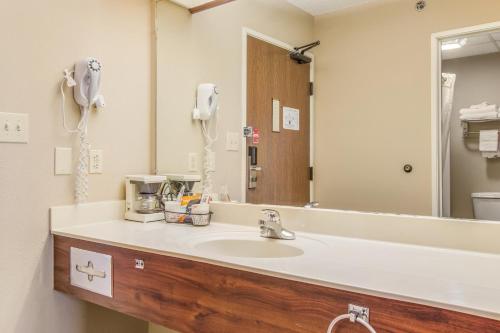 a bathroom with a sink and a large mirror at Econo Lodge Shelbyville in Shelbyville
