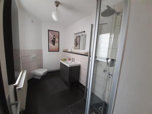 a bathroom with a shower and a sink and a toilet at Ferienwohnung John in Eisenach
