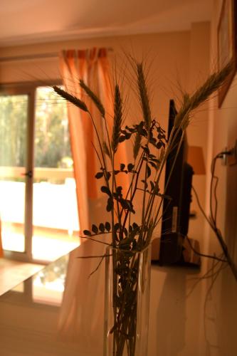 a vase with plants in it sitting on a table at Hotel Pradillo Conil in Conil de la Frontera