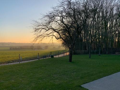 a park with a tree and a grass field at Woodhouse94 in Zonnebeke