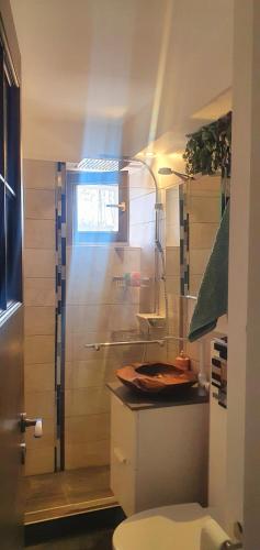 a bathroom with a shower with a toilet and a sink at Nordapartament in Suceava