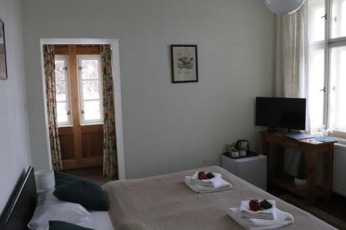 a bedroom with a bed with two towels on it at Penzion Vila Elektra in Bechyně