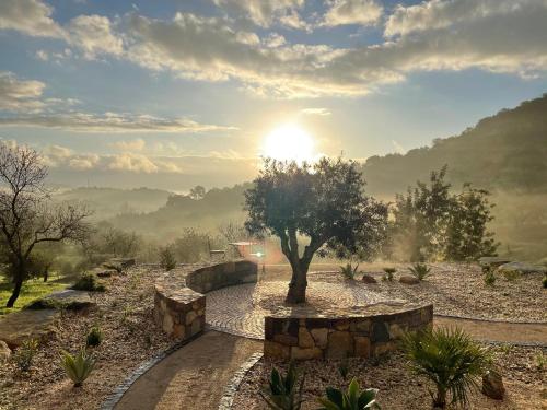 Casa Olivia - Charming renovated farmhouse with panoramic views