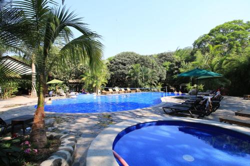 a large swimming pool with chairs and a palm tree at Expediciones Mexico Verde in Jalcomulco