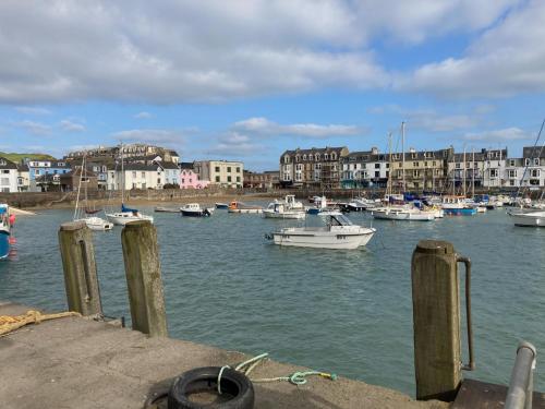 a group of boats in a harbor with buildings at The Snug Ilfracombe in Ilfracombe